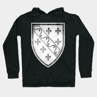 BOSNIA COAT OF ARMS Hoodie